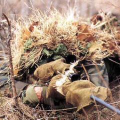 sniper,cqb,airsoft
