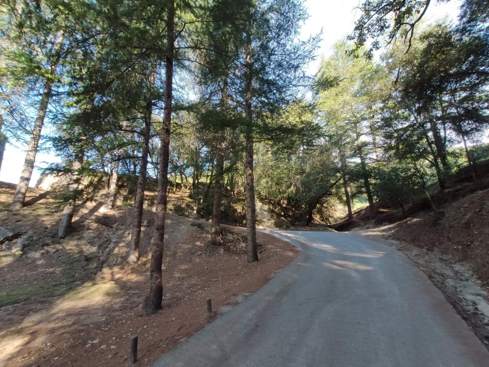 finca 40