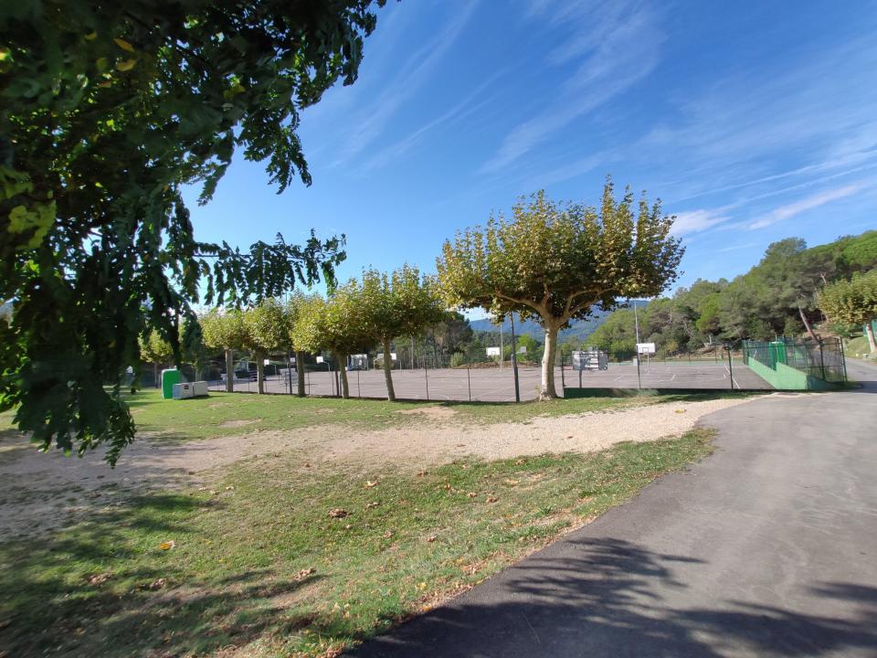 finca 15