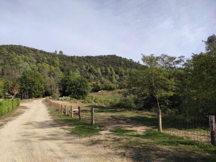 finca 16
