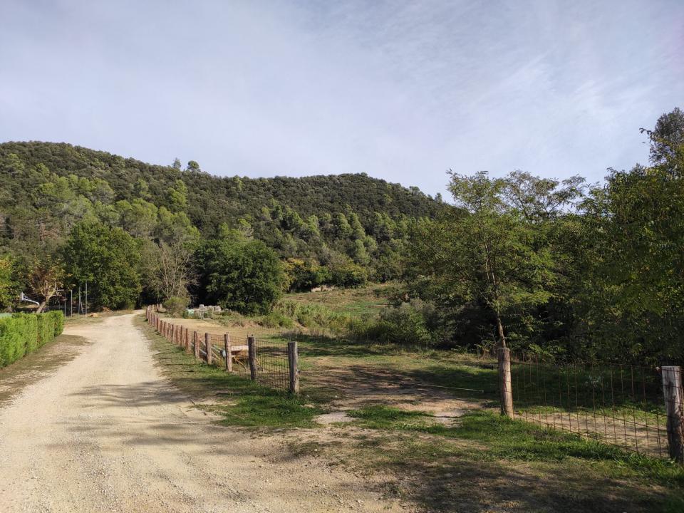 finca 16
