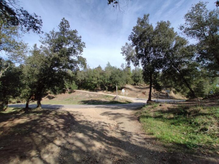 finca 10