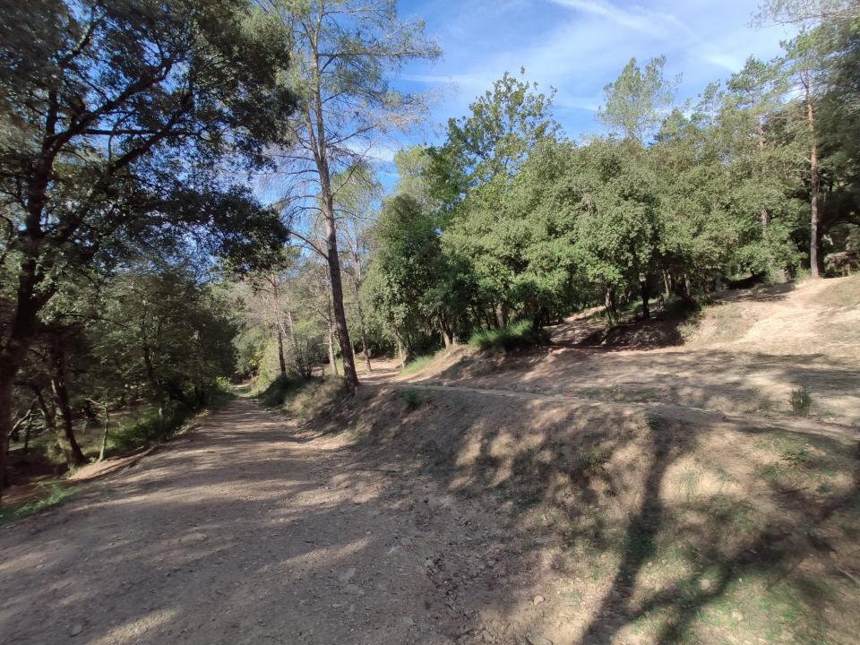 finca 9