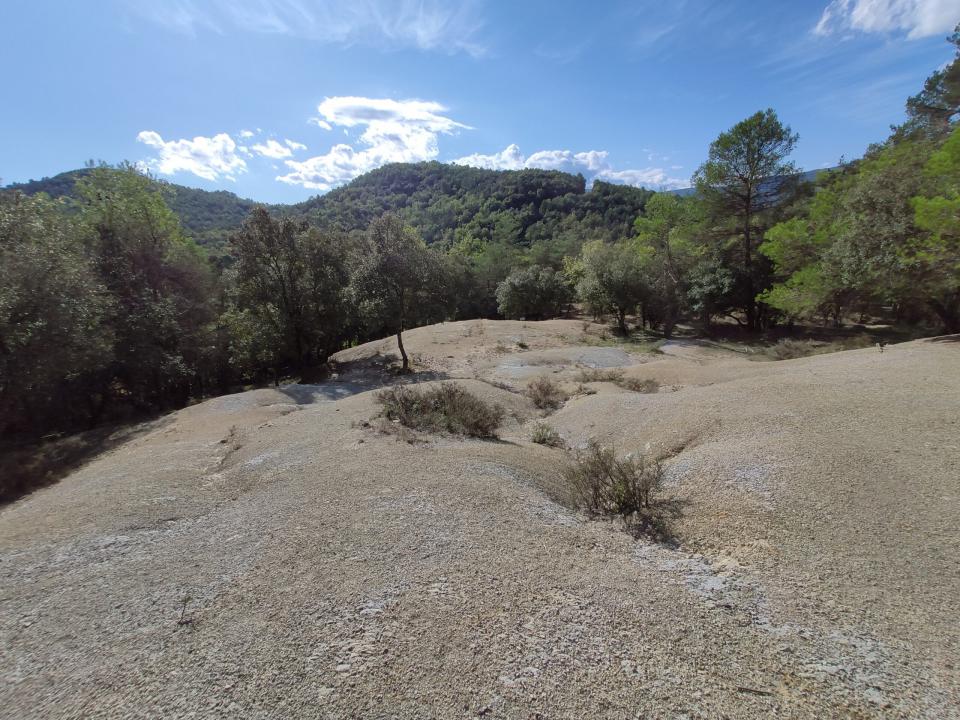 finca 5