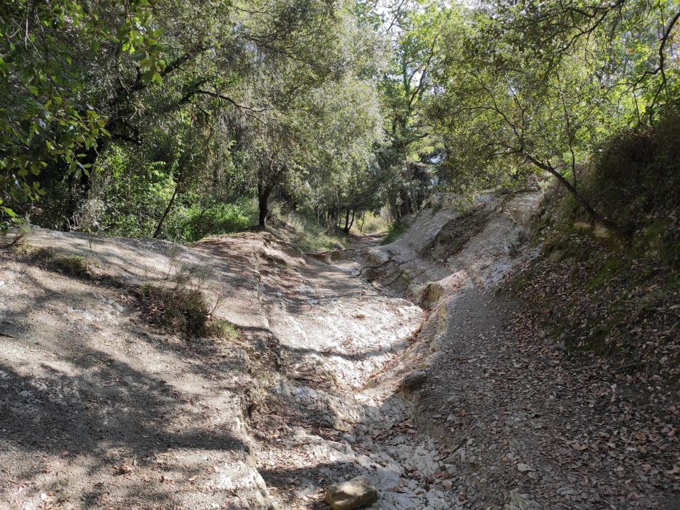 terreno de juego