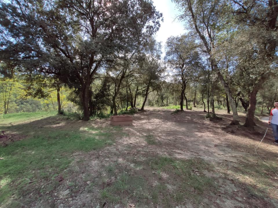 finca 4