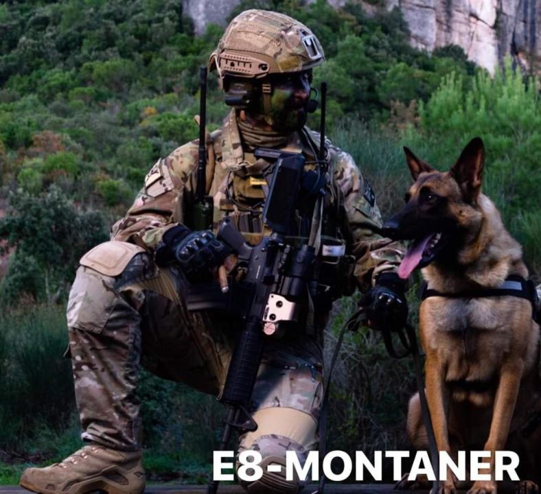 Sasr-tf66
